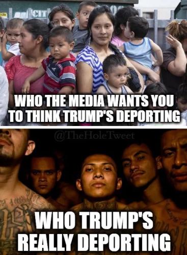 TRUMP DEPORTATION 67