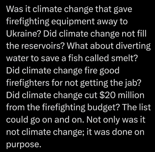 image_2025-01-15_062034577