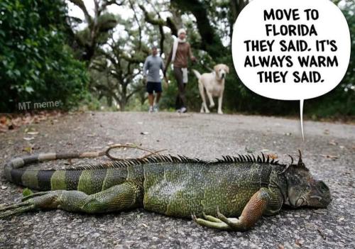 647BBFC2-DCAF-42A1-9183-D66BF4DAB689