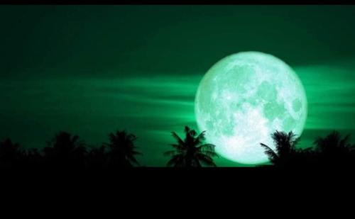 FB_IMG_1738168997168