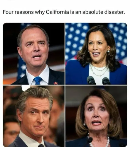 image_2025-01-25_191839359