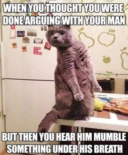 71f979530fb29199e4e38352a61fba72