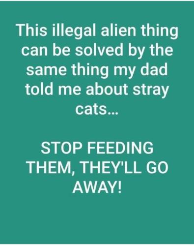 Screenshot_20250111_133606_Facebook