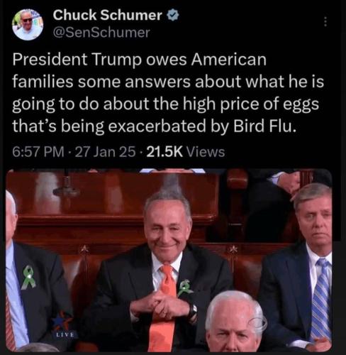 photo_2025-01-28_00-12-11