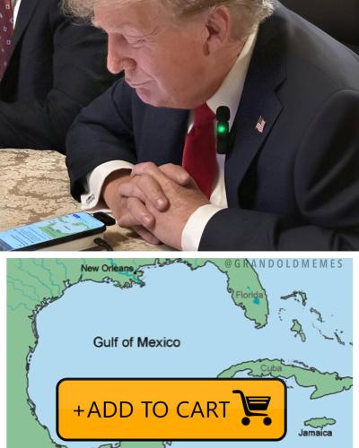 photo_2025-01-07_22-35-45