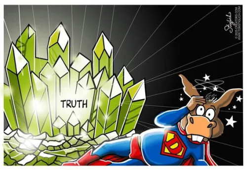 image_2025-01-31_091546882