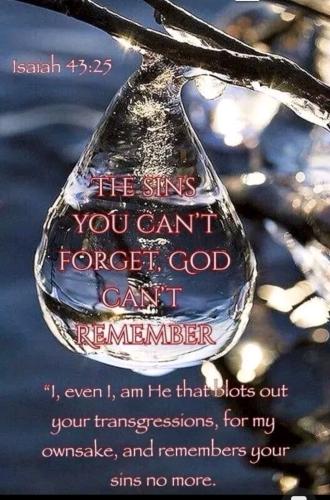 Screenshot_20250117_084407_TikTok