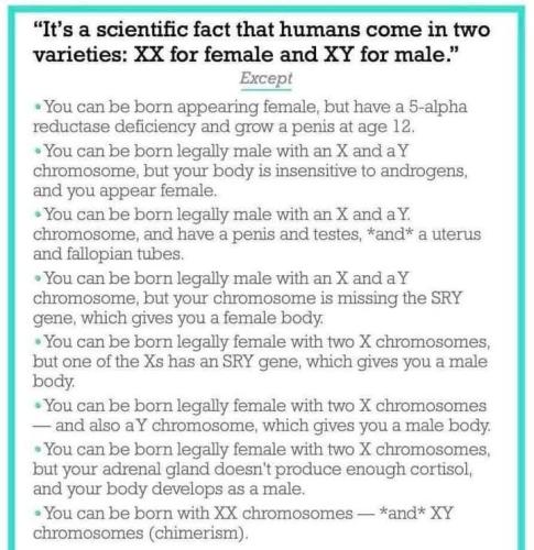 FB_IMG_1737851750339