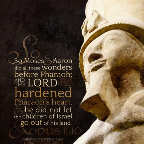 exo-11-10-ww-wiki-9x