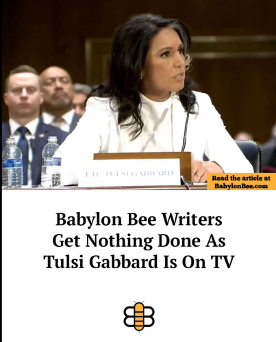 Screenshot 2025-01-31 093649