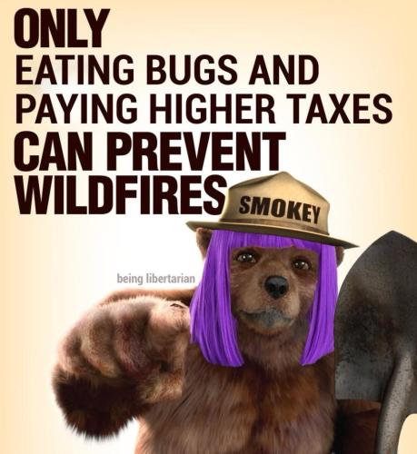 photo_2025-01-14_22-58-10