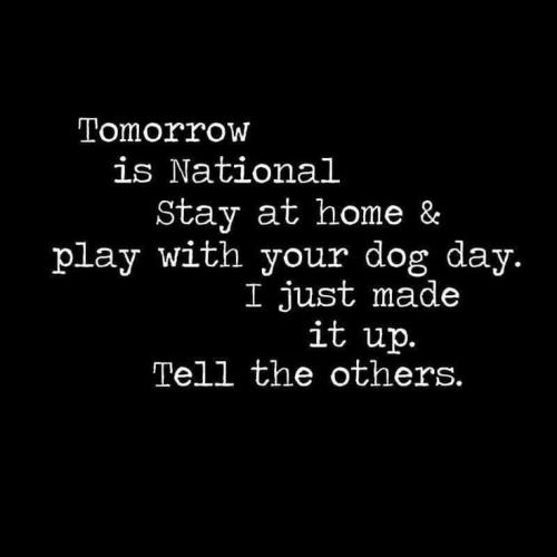 c26c23b473144a7ffc675be4a631cee7