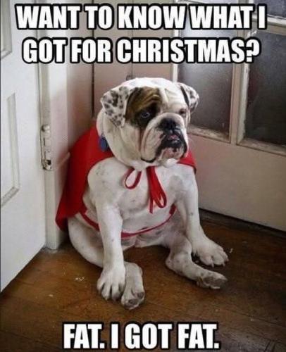 FB_IMG_1735834146074