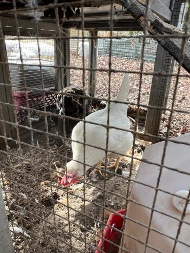 A4519A78-3005-4D61-9DAD-4C1EF35C8064