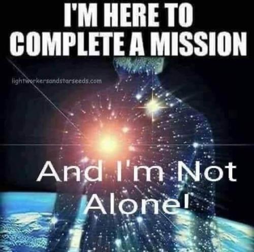 470162726_122176633424121433_1993476572100756563_n