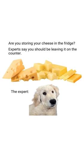 474600946_1018458450319752_404440792527440460_n