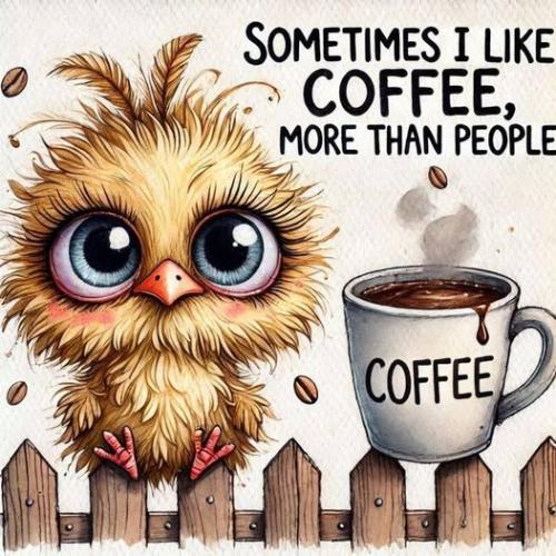 473766200_122132834978531904_7532654298673226872_n