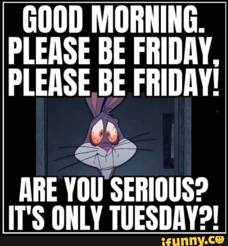 12:23:28 GMT-0600 (CST)