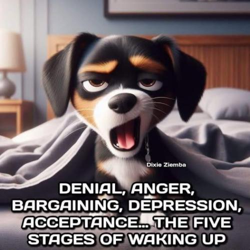 five states of waking up