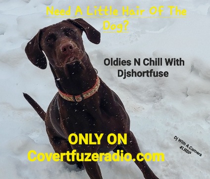 Screenshot_20241227_074426_Gallery