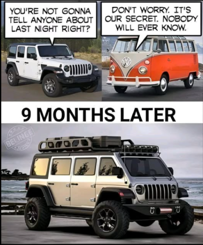 Screenshot 2025-01-20 195142