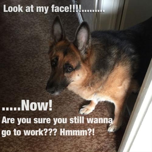 5cf6ad8b8bd93a979fcd9c3e871917c1