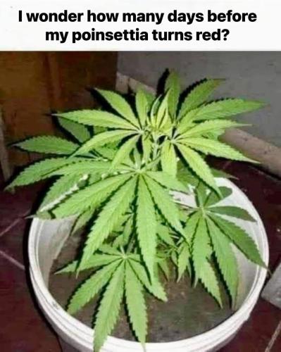 image_6ABD1DE6-C204-4134-9389-C17651687A90