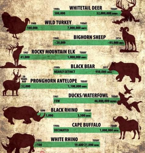 00000000000000000000000000000000000000000000000000000000000000000000000000000000000000000000000000000000000000000000000000000000000000000000000000000000000000000000000000000000000000000000000000000000000000000000nhp