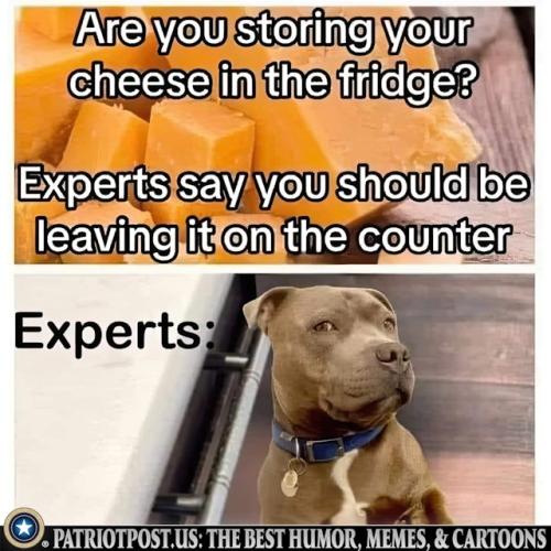 01JHS4WTX6T54XMGK5B57HSG0P