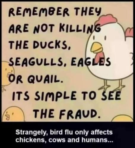 4774ae71-1639-448b-b678-9ff5e1be4977