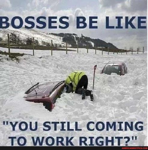 work-snow-memes