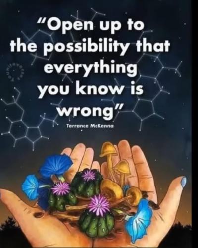 473672735_2033760697138589_8556391443621119628_n