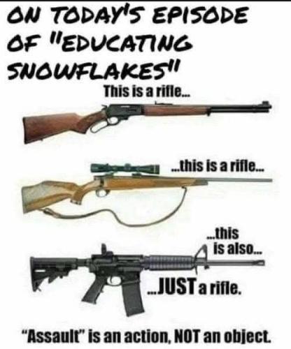 educating snowflakes