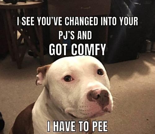 f127ec47fca08962f80f797cffaad70b