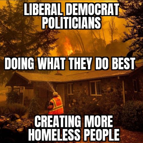 ZomboMeme 08012025072942