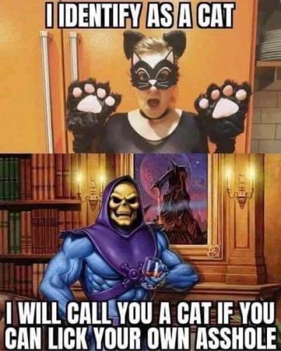 image_5613CD49-7DD1-4C1D-812C-36CFC034CB8D