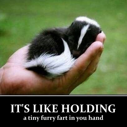 933fa8240c504940faf1a34b41dfc4c6_1024