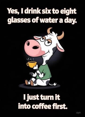 FB_IMG_1738077349233