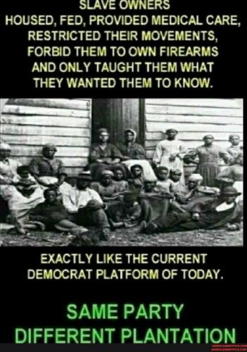 216fec364a05661ca39b48ed7af79f7c968baa27a54b1566ae0b04377998d3e0_1