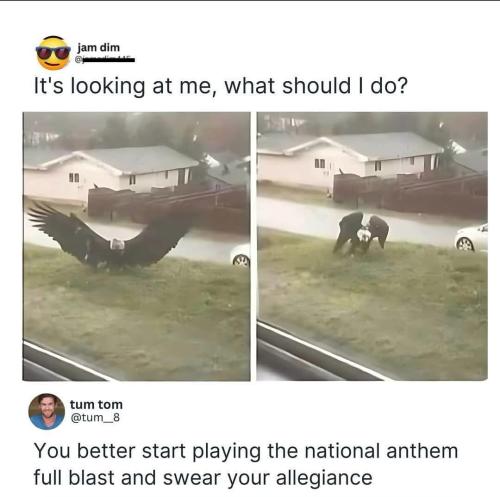 1b56fde8-f1f8-46ca-a316-eef1f735c7b5