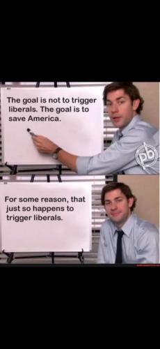 Screenshot_20250130_185256_Gallery