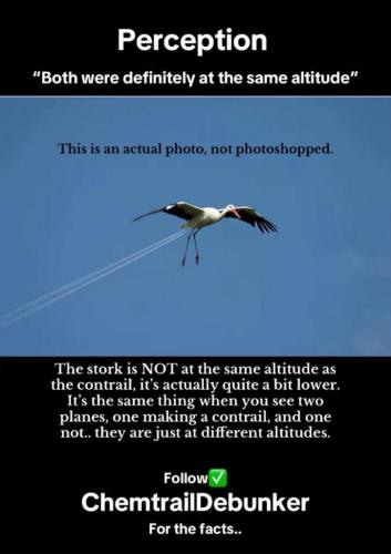 ab12390c-e61b-41a6-ad0b-490d93f0373d