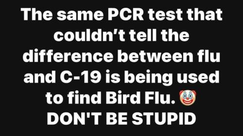 photo_2025-01-03_20-27-23