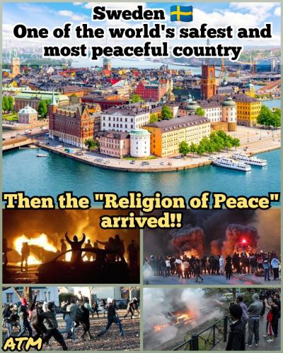 IMG_20250131_164330_895