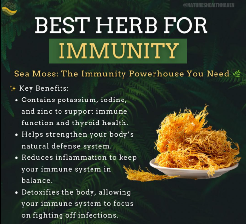 Screenshot 2025-01-24 142819