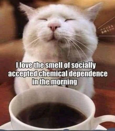 cec3c9ebf72984e10546ba5fa2de62ad