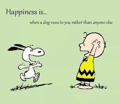 1CBD886B-CBC6-4AD2-B982-46A35F10F9D6