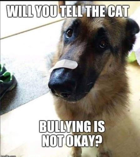 A9E9381C-1098-4780-A227-ADDDFF2B946F