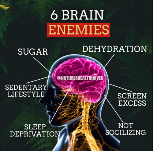 Screenshot 2025-01-06 170542