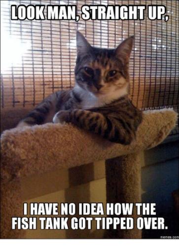 78fcd91c-c323-497a-8a59-f96d67accb81_3108421b-130f-4d1b-88f4-3f05d2b5037d_400x